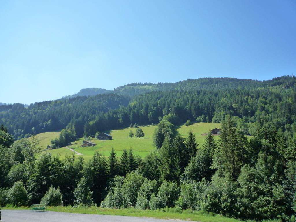 Appartamento Aravis Locations Le Grand-Bornand Esterno foto
